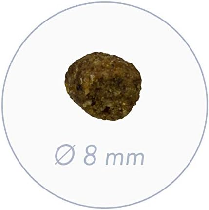 Bosch HPC Mini Adult | Ze świeżym drobiem i kaszą jaglaną | Sucha karma dla dorosłych psów małych ras (do 15 kg) | 1 KG