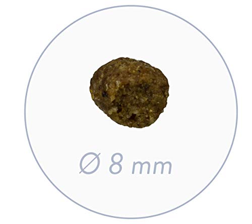 Bosch HPC Mini Adult mit Lamm & Reis | Hundetrockenfutter für ausgewachsene Hunde, 1 x 15 kg & HPC Mini Adult mit frischem Geflügel & Hirse | Hundetrockenfutter für ausgewachsene Hunde, 1 x 3 kg