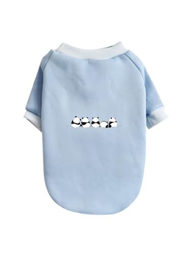  킢 p_ ybg hbOEFA ̕ L ybgEFA h _炩 іh~   t@bV U ybgpi