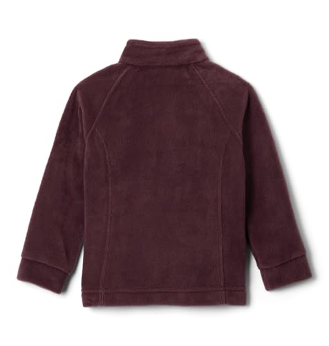 Image of Columbia Kids Benton Springs Fleece (Little Kid /Big Kid)