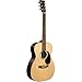 Martin 00-X2E Cocobolo Acoustic-electric Guitar - Natural