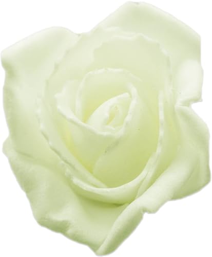 mixed24 100 St. 5cm Rosenköpfe Schaumrosen Foamrosen Blumen Rosa Weiß Creme Rot Kunstrosen (Creme)