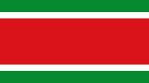 Drapeau Algérie Large L historique pour collectionneurs et commémorations