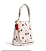 COACH Mollie Bucket Bag 22 (Gold/Chalk Multi)