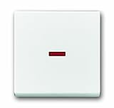 Herkunftsland:- Deutschland Busch-Jaeger BUSC Wippe 1789-84, Kontr