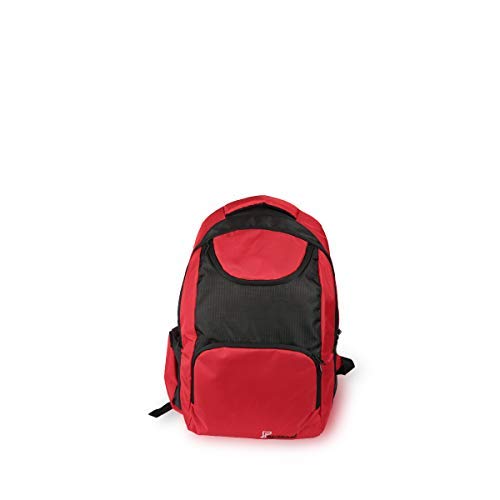Buy Fascinant Laptop Bag 40 LTR Red Falcy at Amazon.in