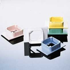 Base Molds 38 x 25 x 6 mm (Case of 12)