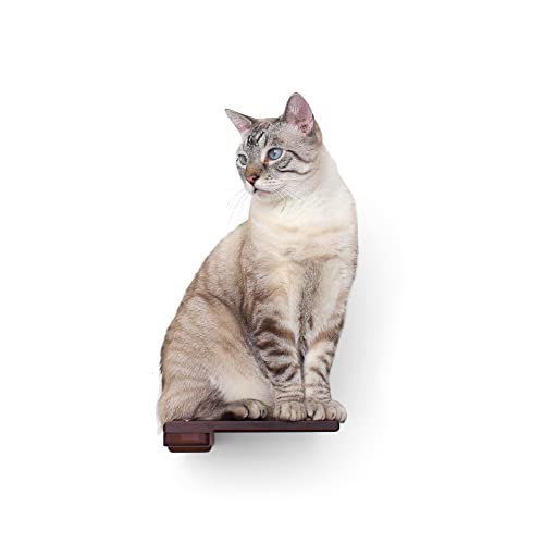 Catastrophic Creations Cat Step Bamboo Shelf w/Cork Pad — Cat Wall Shelves —...