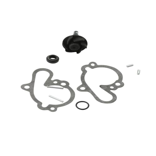 Kit de réparation de pompe à eau AM6 2T 50cc RS1 RS2 100110080