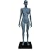 BONEW 30CM Height Female Anatomical Anatomy Skull Head Body Muscle Bone Model US Stock