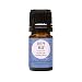 Sleepy Head OK For Kids Synergy Blend Essential Oil by Edens Garden - 5 ml