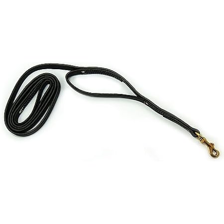 leerburg leash