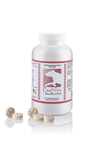 CaniMove multivital (100 Vitamintabletten für Hunde) | B-Komplex, A, C, D3, E und Taurin | Multivitamine für Barf, OPs, Aufbau, Laktation, Sport, Anstrengung, Krankheit | bis zu 1 Jahr Reichweite