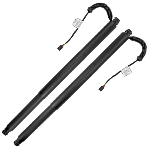 Support hayon électrique pour VW Touareg CR 2018-2024 vérin arrière 760827851 x2