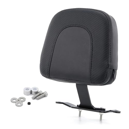 Sissy bar haut de gamme avec coussin de dossier pour Ducati Multistrada V4 RS
