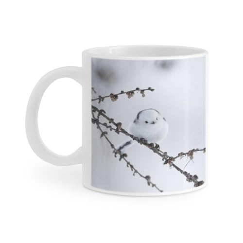 V}GiK }OJbv R[q[Jbv }OJbv Jbv Rbv H H vg  傫  G ObY ܂Ȃ GiK  ̗d Ƃ