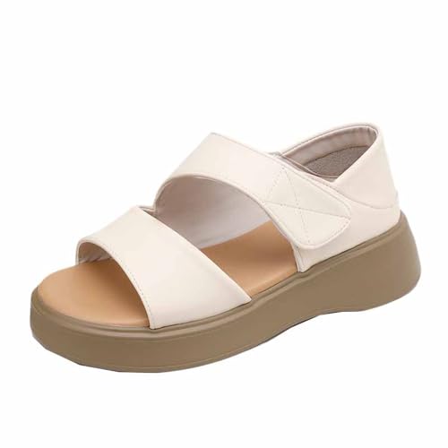 [SEJUC] u[cT_ T}[u[c T_ Xgbv q[ fB[X OfBG[^[ 25.0cm IV I[vgD r u[c C ₷ ɂȂ 킢 JWA zCg Xj[J[ EFbWq[ Xg[