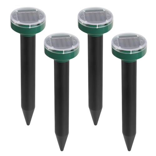 Oގ Oފ 4{ 쏜 \[[ ފ g ގ O΍ gU