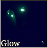 olearius warburg brandenburg  Omphalotus Olearius