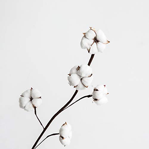 造花 綿花 鉢植え 枯れない花 人工観葉植物 インテリア ギフト プレゼント アートフラワー 置物 彼女へ お祝い お返し お店 ホーム リピング ダイニング 玄関 装飾 本物そっくり 花だけ 1本