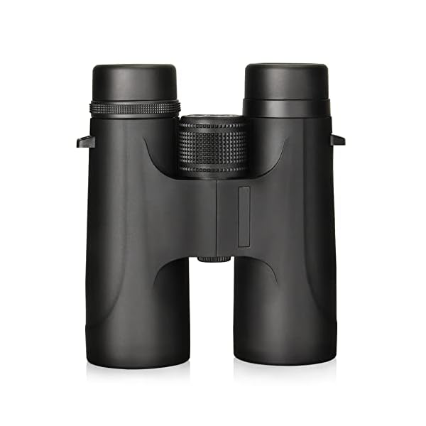 Fernglas 10x42 Kompakt Testsieger Teleskop Breites Sichtfeld GroßEs Okular Fernglas FüR Erwachsene Jagd Wandern Reisen – Bild 5