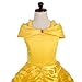 Dressy Daisy Toddler Girls' Princess Yellow Gold Ball Gown Birthday Party Fancy Dress Up Halloween Costume Size 2T to 3T