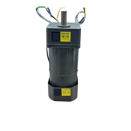 60W 22 RPM Gear Brake Motor