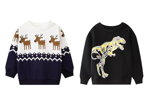 HILEELANG Kids Boy Sweatshirt