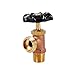 Legend Valve 107-328 Brass Boiler Drain Valve Without Packing Gland, 2"x3"x2"