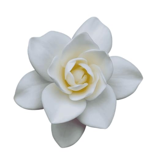 Image of Live Gandharaj Flower Plant | Cape Jasmine Live Plant with Pot | Gardenia jasminoides White Flowering Plant for Home Garden & Balcony