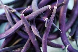 Miniatura 6 de Semillas de frijol Royal Burgundy Bush para plantar, 30 semillas tradicionales por paquete, semillas de jardín de Isla (semillas de jardín de Isla),