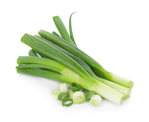 Winter Vegetable Plants, Leek 'Jolant', 12 x Plug Plant Pack, Leek Plants, Leeks, Garden Vegetables, Fresh Produce, Garden Ready and Ready to Plant, Premium Quality Vegetables