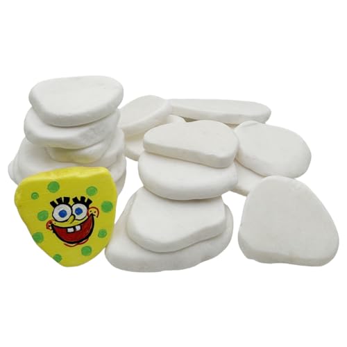 Lifetop Painting Rocks, 2"-3" White Smooth Flat Natural Irregular DIY Painting Supplies (30PCS)