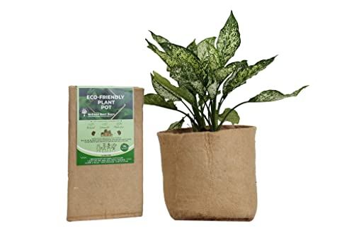 (19 Liters, 1 Pot) Eco Friendly Jute Plant Pot Indoor Outdoor, Babson Best Bags, Green Grow Pot, Garden Pot, Plastic Free and Sustainable Plant Pot