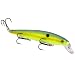 Strike King KVD Jerkbait 3 Hook
