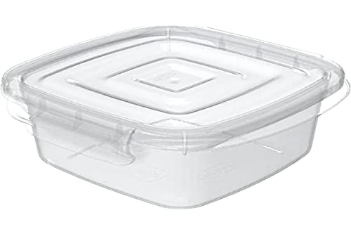 POTE QUADRADO PEQUENO C/TRAVAS 370 ML TRANSPARENTE