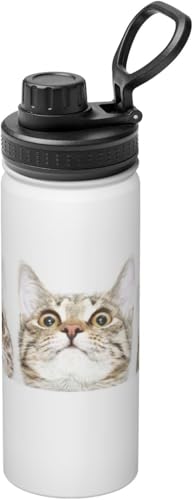  L L ʔ ˂  ^fM ۉ ۗ X|[c{g lC XeX{g X|[cΉ RȂ 530ml j̎q ̎q  l q Aj ObY LN^[