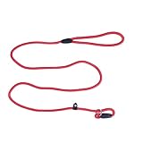 POPETPOP Entraînement Pour Chien En Nylon Promenade Pour Chien Confortable Robuste Pour Chiens De Grande/moyenne Taille