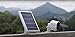 Wasserstein Solar Panel (2W 6V) Compatible with Arlo Ultra/Ultra 2, Pro 3/4/5s (2-Pack, 13.1ft/4m Cable, White) (Camera NOT Included)