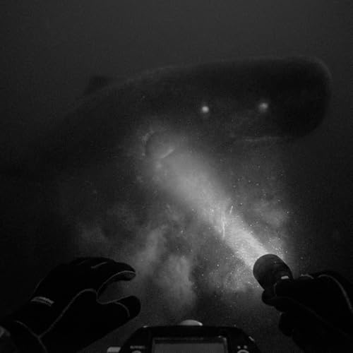 Terror bajo el Oc&eacute;ano Pac&iacute;fico | Relato de un Buzo