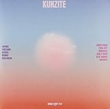 kunzite ring tiffany  Bird\'s Don\'t Fly [Vinyl LP]