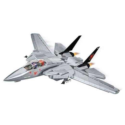 Grumman F-14 Tomcat