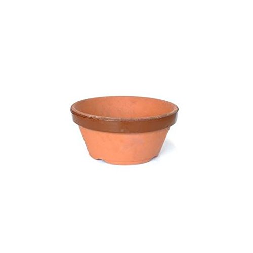 Maceta de entrenamiento Terracota Ø 21.8 Cover