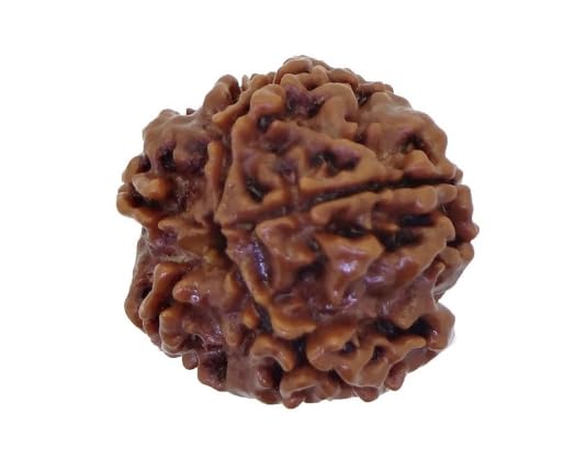 Image of Arihant Gems & Jewels 5 Mukhi /Faced Nepali Rudraksha | Natural & Certified | Astrological Five Mukhi /Faced Rudraksha | Positive Effect | Unisex Both for Men & Women.