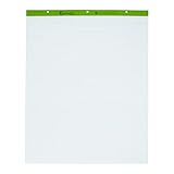 Ampad 24-032R Evidence Flip Chart Pads Ruled with 1-Inch Squares, 27x34, 50 Sheets Per Pad, 2 Pads Per Pack