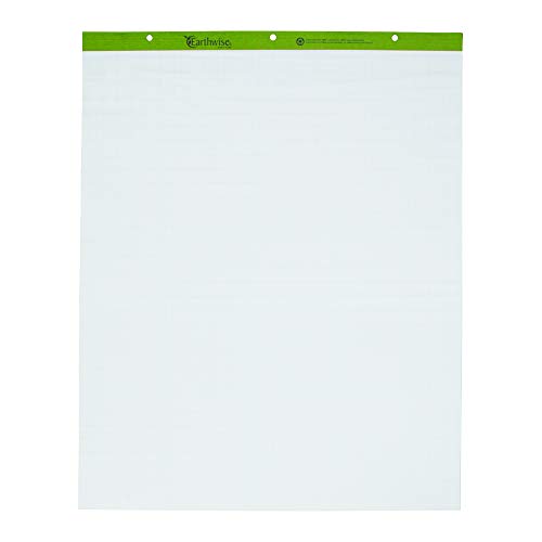 Ampad 24-032R Evidence Flip Chart Pads Ruled with 1-Inch Squares, 27x34, 50 Sheets Per Pad, 2 Pads Per Pack