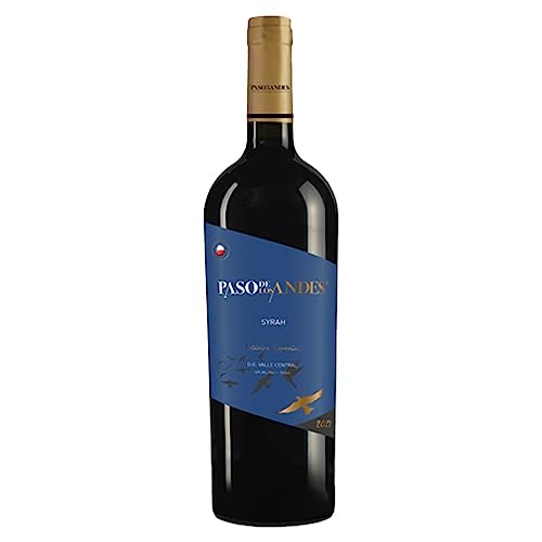 Vinho Chileno Paso de Los Andes Syrah 750ml