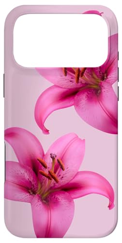 炭 ^CK[   sN  ԕ l X}zP[X iPhone 17 Pro Max p