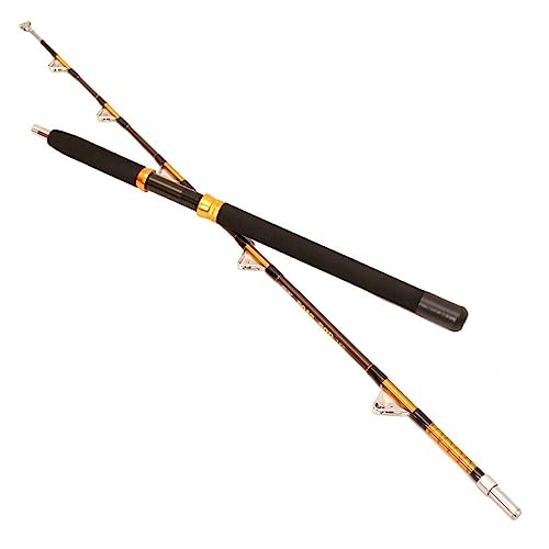 Canne à pêche à la traîne 1.65M avec double poulie guide eye version améliorée