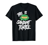 SANDPIT TURTLE